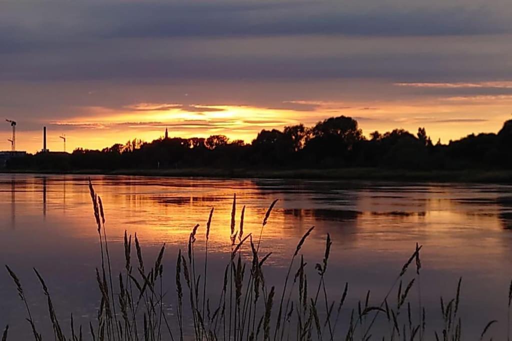 Pool, Sauna Und Blick Ins Gruene Wittenberg Eksteriør bilde